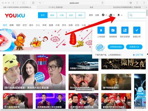 怎样将爆料视频发在网上,如何高效发布视频内容  第3张